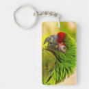 Search for zoo key rings Bird