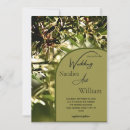 Search for olive trees invitations Green
