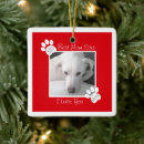 Search for dog frame christmas tree decorations Simple