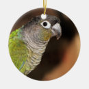 Search for feather christmas tree decorations Photography