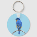 Search for bluebird key rings Wild