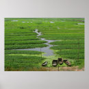 Search for cambodian art Asian
