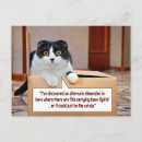Search for funny cats and dogs postcards Humor