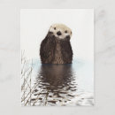 Search for otter pictures postcards Cute