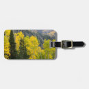 Search for deciduous forest accessories Autumn