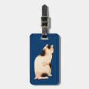 Search for japan travel accessories 日本