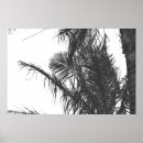 Search for black and white tree posters Wall