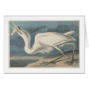 Search for white egret Ocean