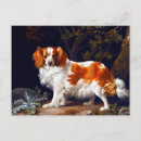 Search for liver postcards Pet
