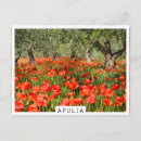 Search for flowering tree postcards Flowers
