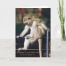 Search for slogan cards Message