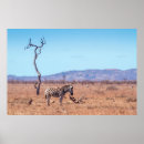 Search for plain posters Africa