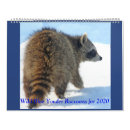 Search for raccoon calendars Wildlife