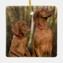 Search for vizsla christmas tree decorations Pet