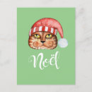 Search for whimsical cat illustration postcards Funny