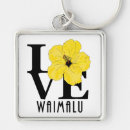 Search for hawaii key rings Hibiscus