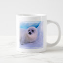 Search for harp seals mugs Seal pup