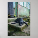 Search for relaxing scene posters Relaxation