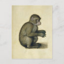 Search for c16th postcards Albrecht