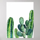 Search for cactus posters Southwest