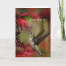 Search for hummingbird birthday cards Mum