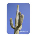Search for saguaro magnets Southwest