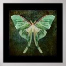 Search for butterfly collage art Green