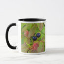 Search for flathead mugs Flathead national forest
