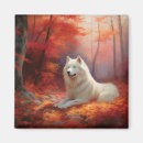 Search for samoyed stuff magnets Pet