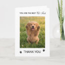 Search for veterinarian appreciation cards Veterinary