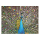 Search for teal and gold tablecloths Blue