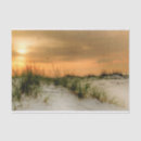 Search for seagull tissue paper Coastal