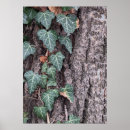 Search for wooden pattern posters Nature