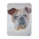 Search for handsome magnets Pet