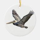 Search for pelican christmas tree decorations Ocean