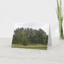 Search for tree lined cards Landscape