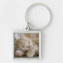 Search for domesticated key rings Pet