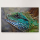 Search for blue lizard toy games Animal
