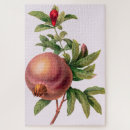 Search for pomegranate puzzles Botanical