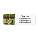 Search for german shepherds return address labels Puppy