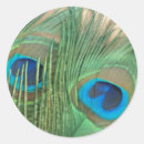 Search for golden feathers stickers Green