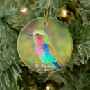 Search for colors christmas tree decorations Colourful