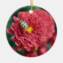 Search for bug christmas tree decorations Nature
