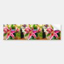 Search for lily bumper stickers Garden
