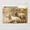 Search for schaf Sheep