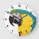 Search for blue parrot clocks Bird