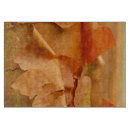 Search for maple chopping boards Orange