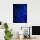 Search for blue feathers posters Feathered
