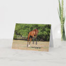 Search for leaping cards Stallion