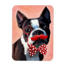 Search for boston magnets Terrier dog